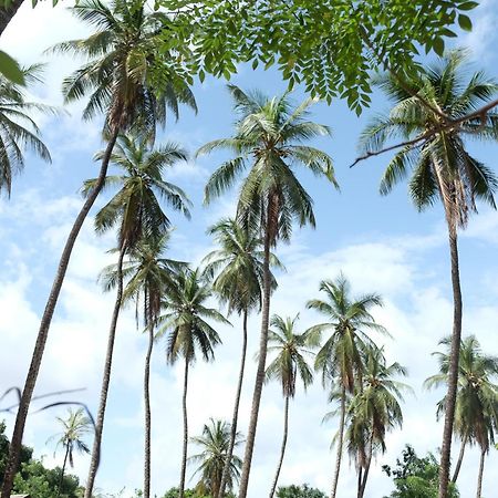 Gasthaus Centre Touristique Et Culturel Casamance Diakene Ouolof Exterior foto