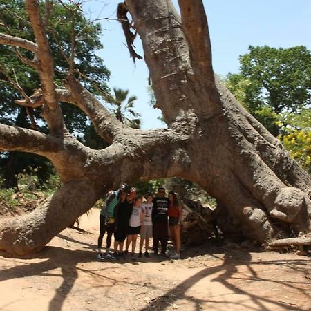 Gasthaus Centre Touristique Et Culturel Casamance Diakene Ouolof Exterior foto